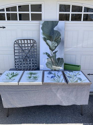 Lot #5 (1 of 4)