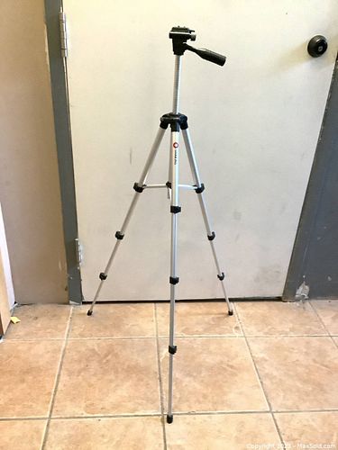 Lot #79 (1 of 9)