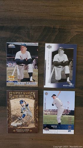 Lot #196 (1 of 2)