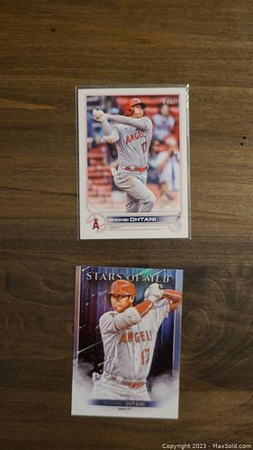 Lot #213 (1 of 1)