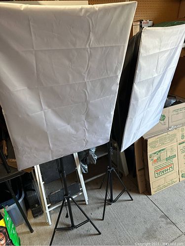 Lot #28 (1 of 4)