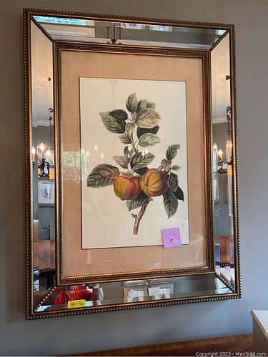 Lot #17 (1 of 6)