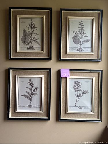 Lot #20 (1 of 8)