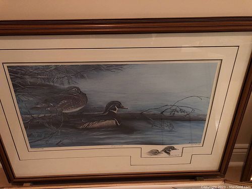 Lot #674 (1 of 9)