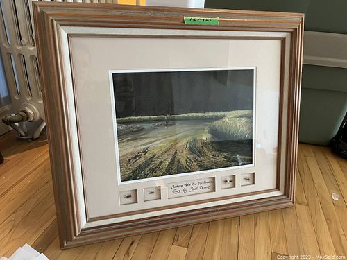 Lot #528 (1 of 12)