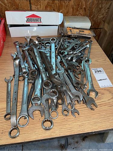 Lot #298 (1 of 17)