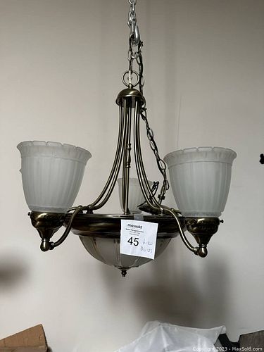 Lot #45 (1 of 5)