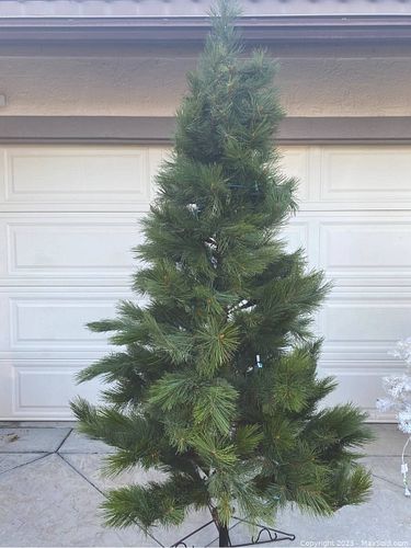 Lot #4 (1 of 6)