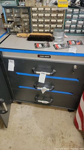 Lot #252 (1 of 10)