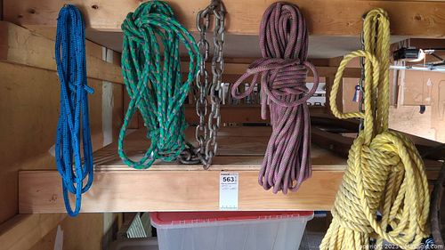 Lot #563 (1 of 7)