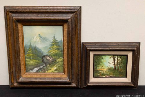 Lot #49 (1 of 6)