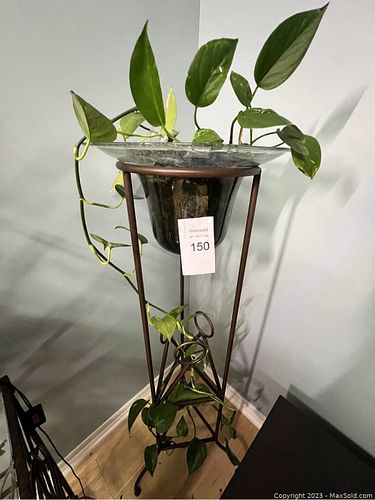 Lot #150 (1 of 3)