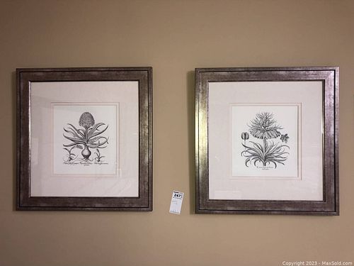 Lot #247 (1 of 10)