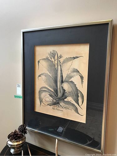 Lot #217 (1 of 7)