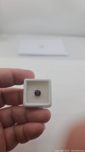 Lot #66 (1 of 5)