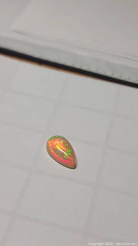 Lot #19 (1 of 20)