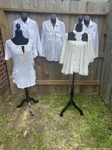 Lot #172 (1 of 7)