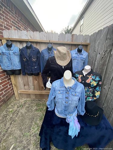 Lot #203 (1 of 12)
