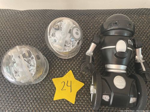 Lot #24 (1 of 6)