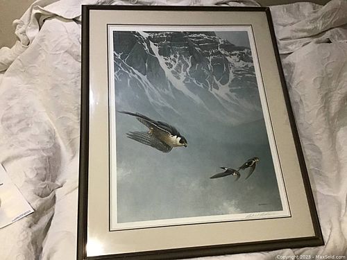 Lot #7 (1 of 8)