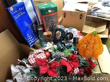 Lot #46 (1 of 1)