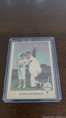 Lot #36 (1 of 2)