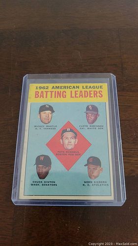 Lot #33 (1 of 2)