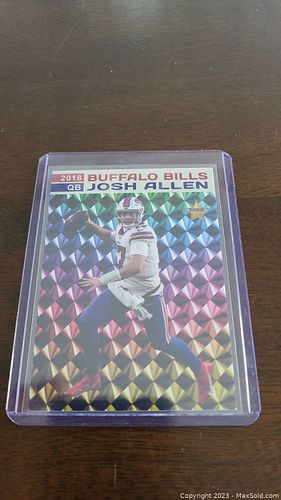 Lot #18 (1 of 2)