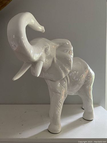 Lot #36 (1 of 6)