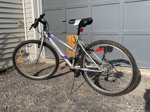 Lot #48 (1 of 7)