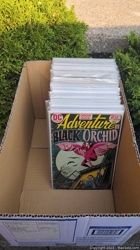 Lot #42 (1 of 20)