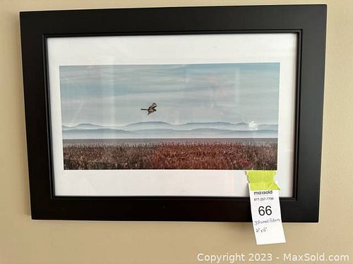 Lot #66 (1 of 5)