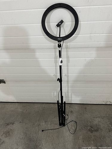 Lot #229 (1 of 10)