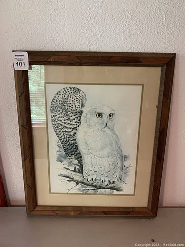 Lot #101 (1 of 4)