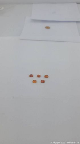 Lot #25 (1 of 12)