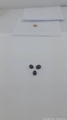 Lot #23 (1 of 12)