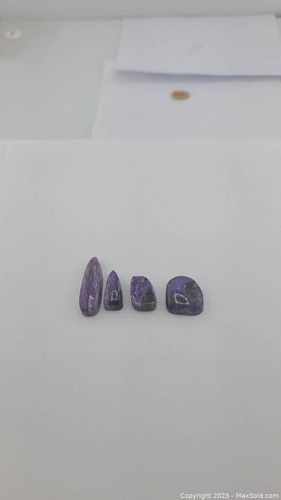 Lot #48 (1 of 13)