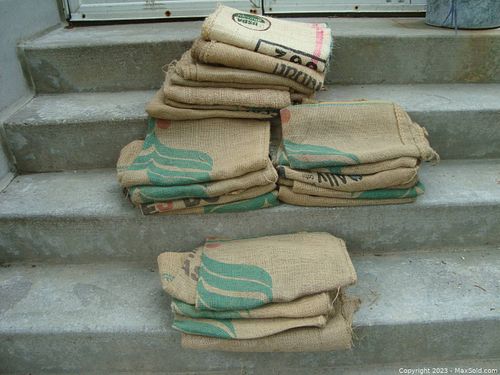 Lot #137 (1 of 7)