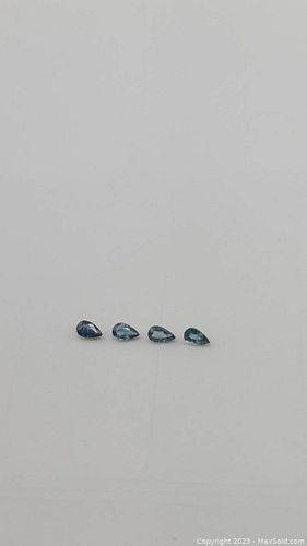 Lot #8 (1 of 14)