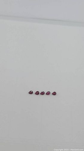 Lot #9 (1 of 14)