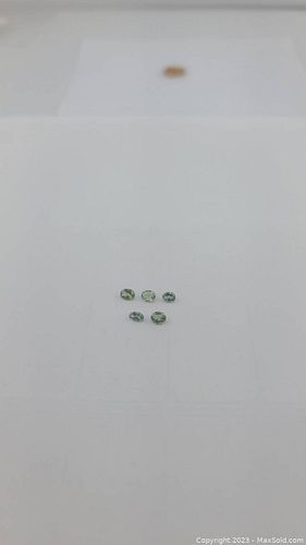 Lot #25 (1 of 13)