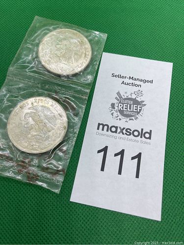 Lot #111 (1 of 6)