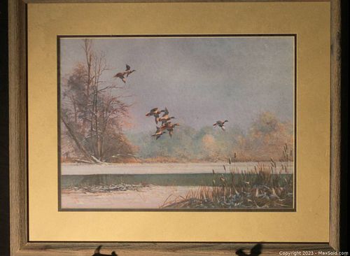 Lot #31 (1 of 1)