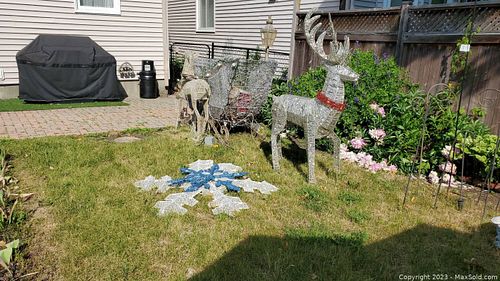 Lot #253 (1 of 18)