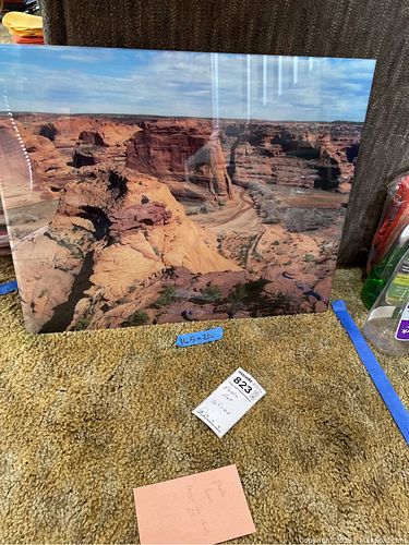 Lot #823 (1 of 5)