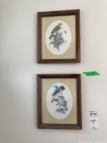 Lot #970 (1 of 9)