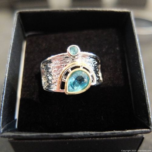Lot #61 (1 of 2)