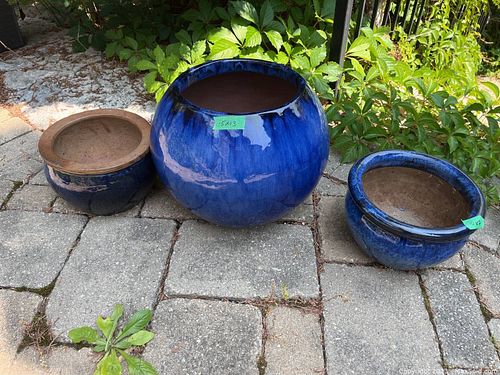 Lot #215 (1 of 12)