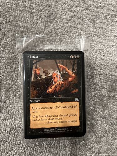 Lot #13 (1 of 2)