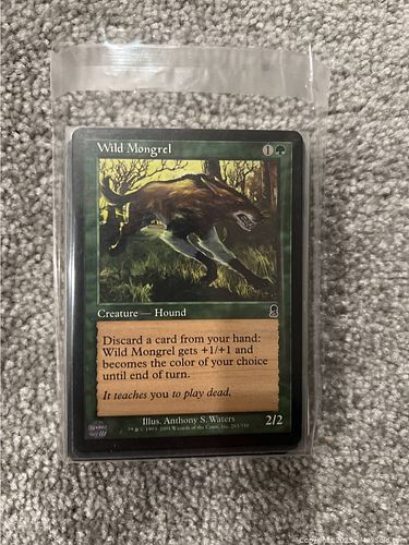 Lot #15 (1 of 1)
